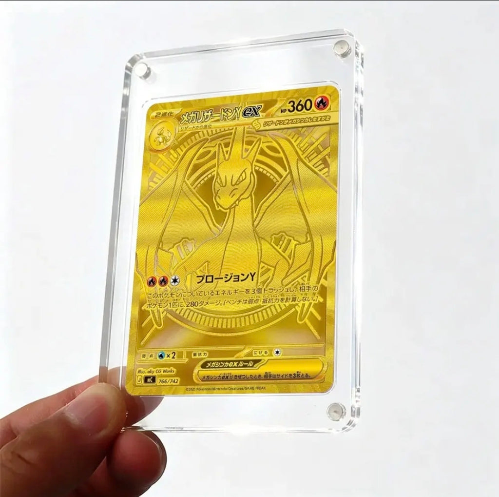 Single Raw Card Display Case